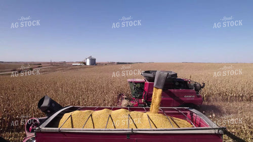Corn Harvest 114088