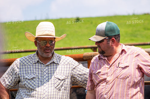 Ranchers Working Cattle 214211