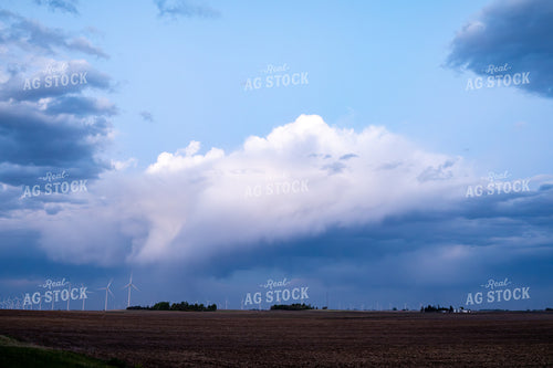 Rural Landscape with Wind Turbines 302044