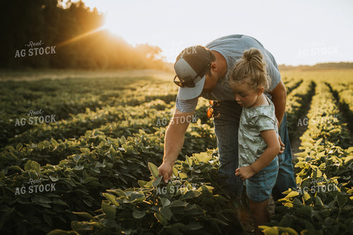 Farmer and Farm Kid Scouting Soybean Field 6084