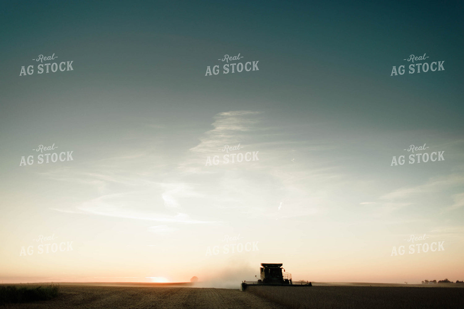 Soybean Harvest 8651