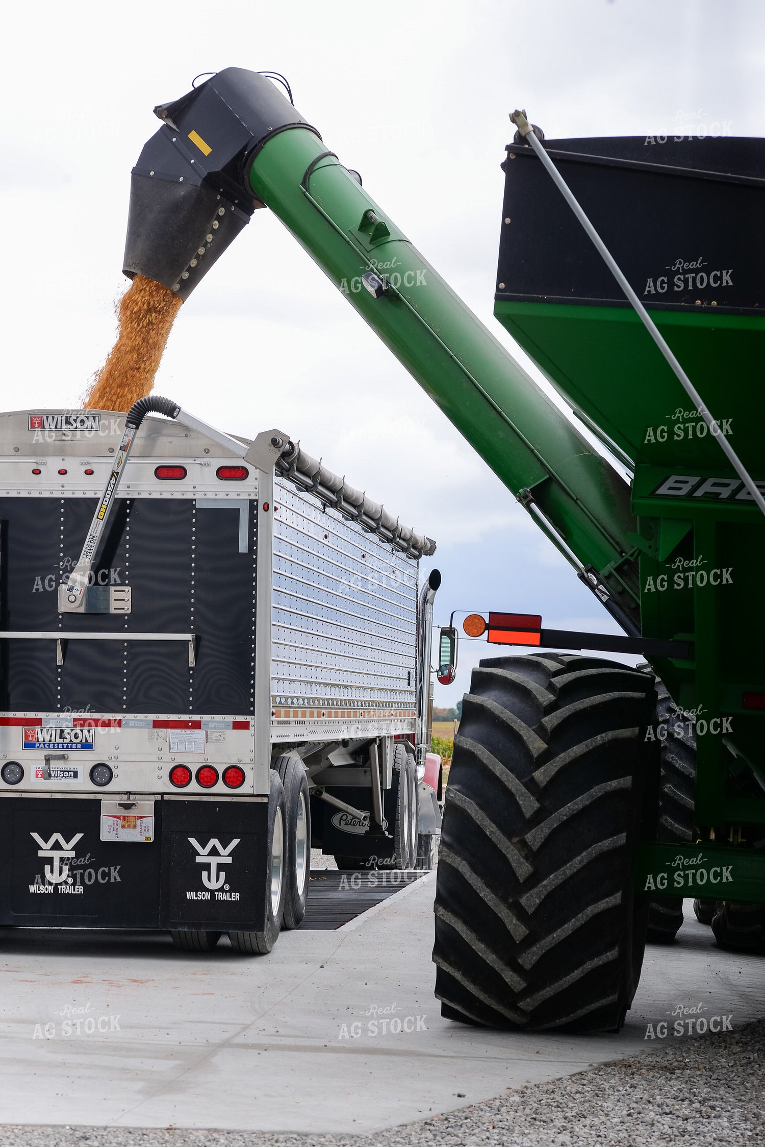 Corn Harvest 151016