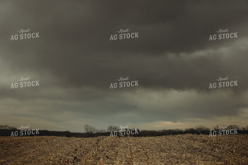 Harvested Corn Field and Storm Clouds 3648