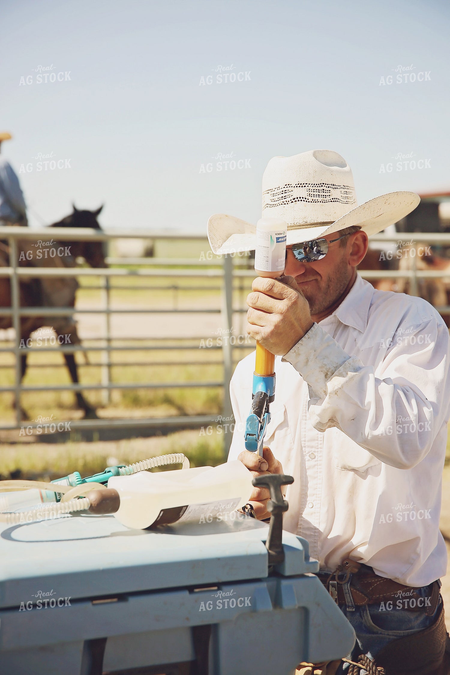 Rancher Working Cattle 127075