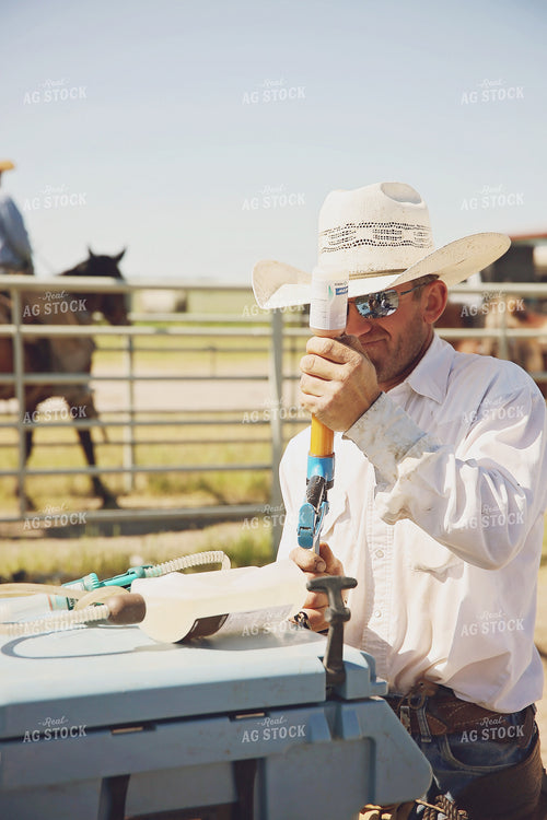 Rancher Working Cattle 127075