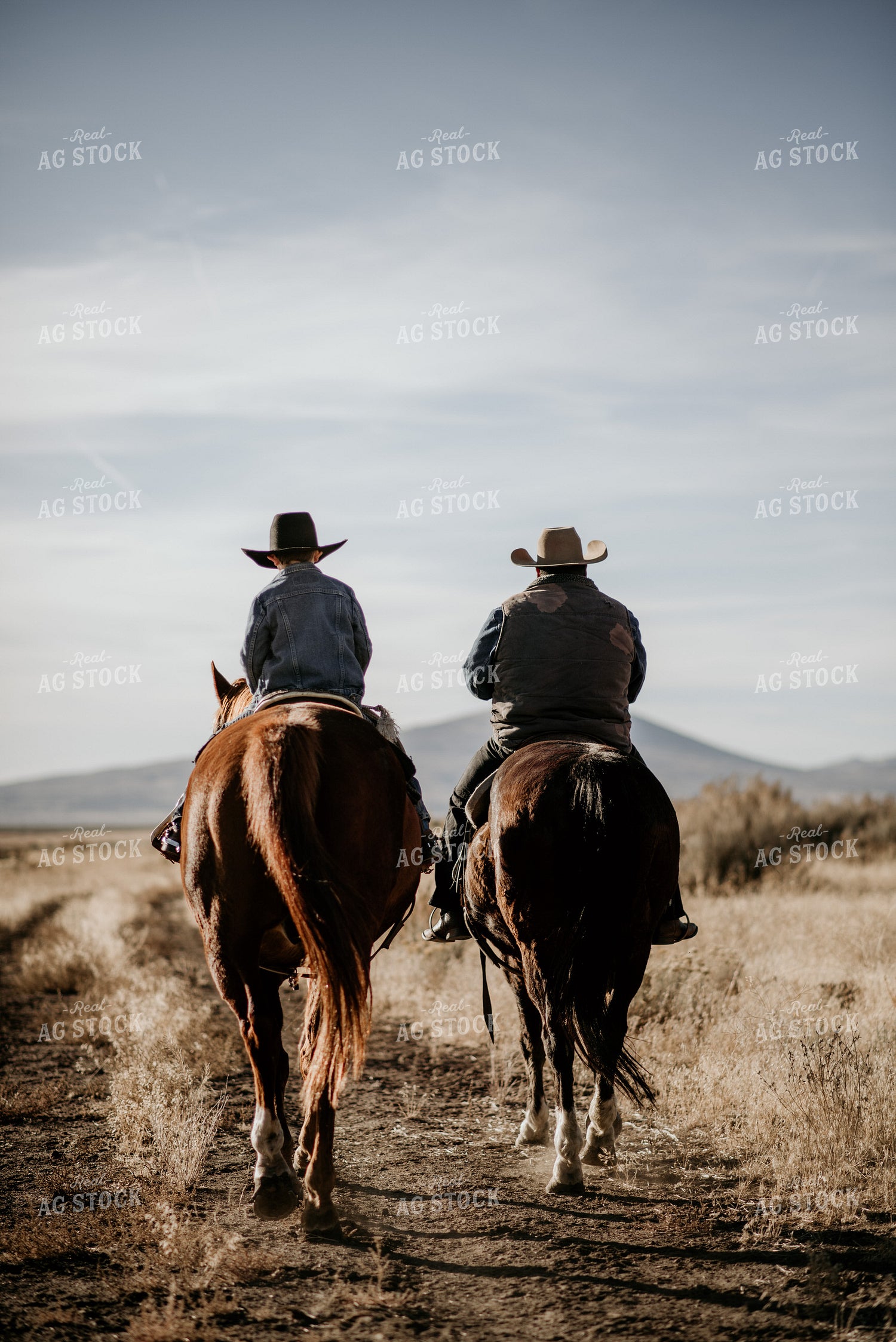 Ranchers on Horses 54032