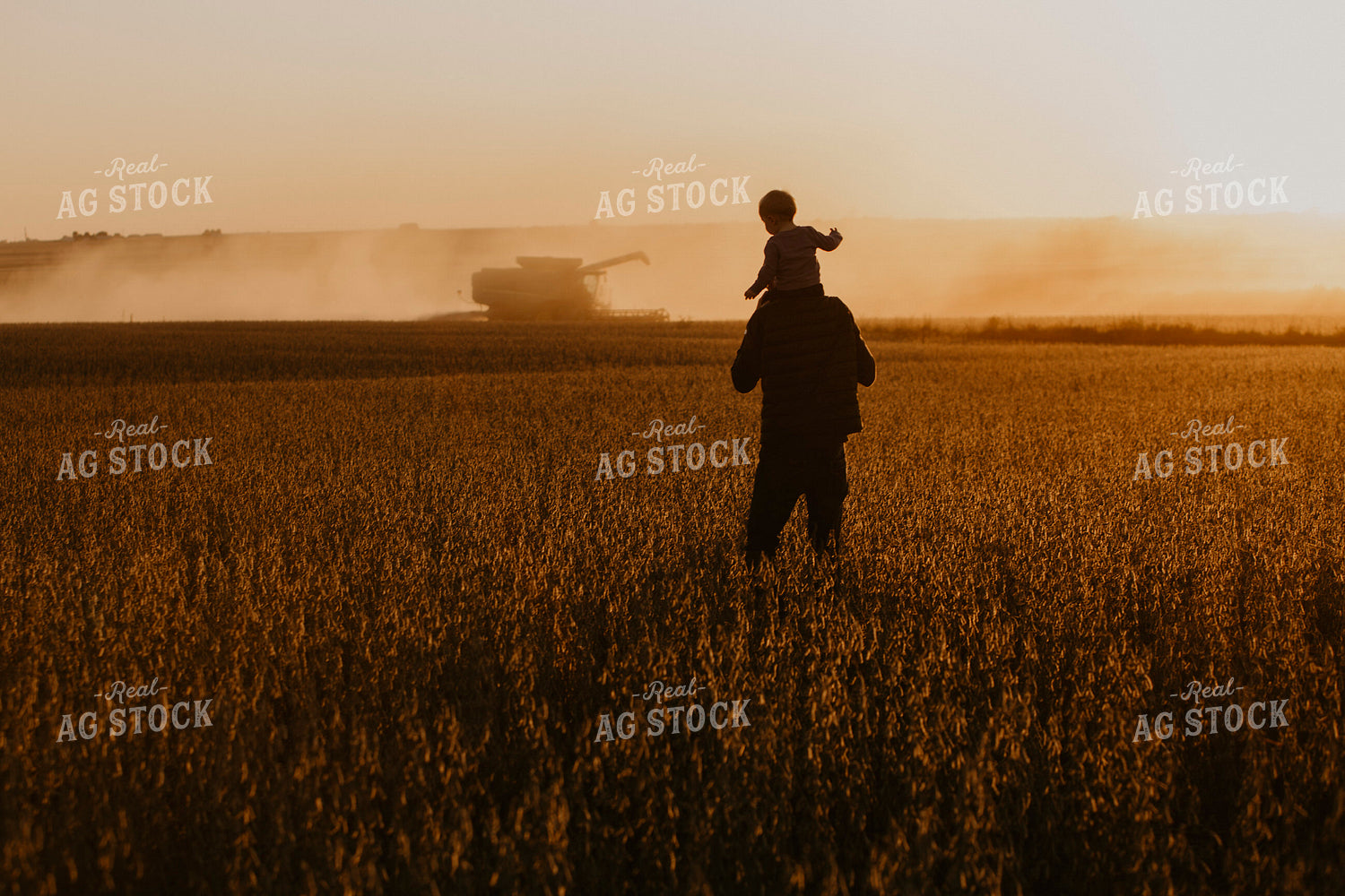 Harvest 2587