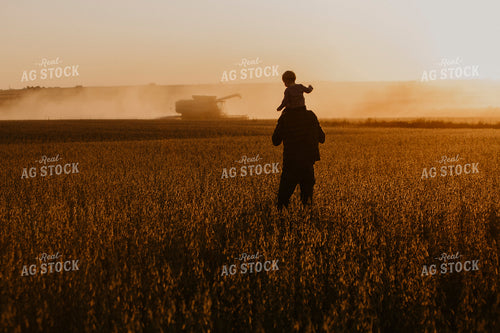 Harvest 2587