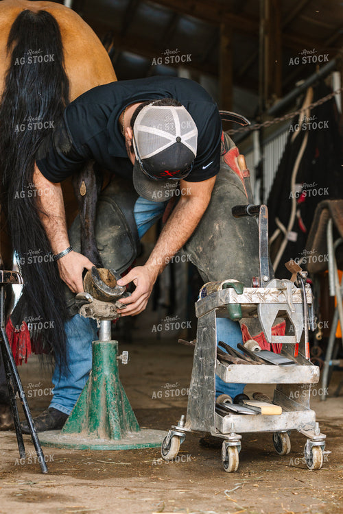 Farrier Fitting Horseshoes 52725