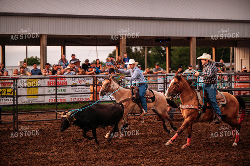 Rodeo 115793