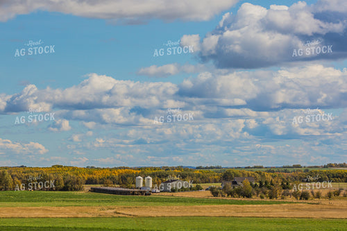 Farm in Rural Landscape 138140