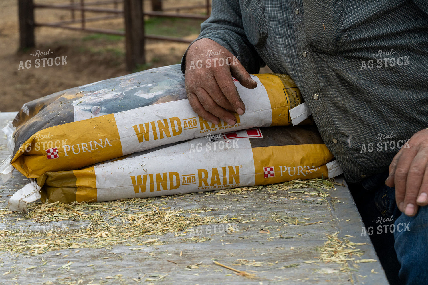 Man with Feed Bags 65212