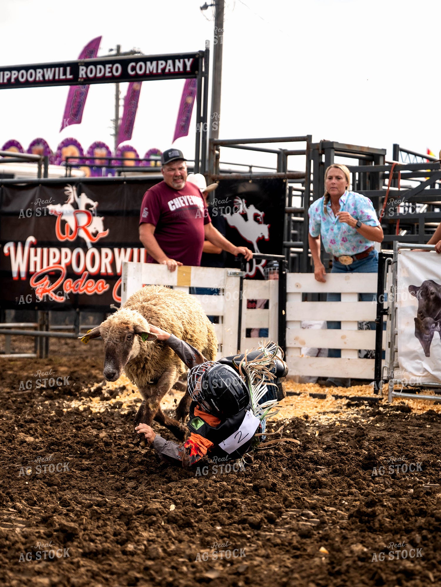 Mutton Busting 115840