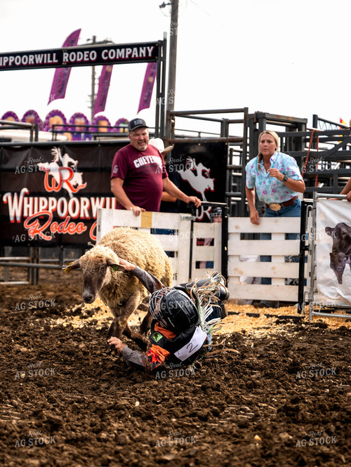 Mutton Busting 115840