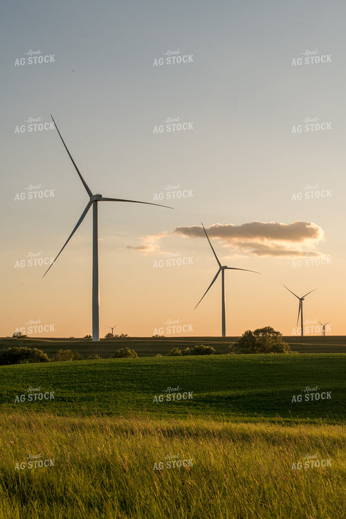 Scenic Summer Views 76484