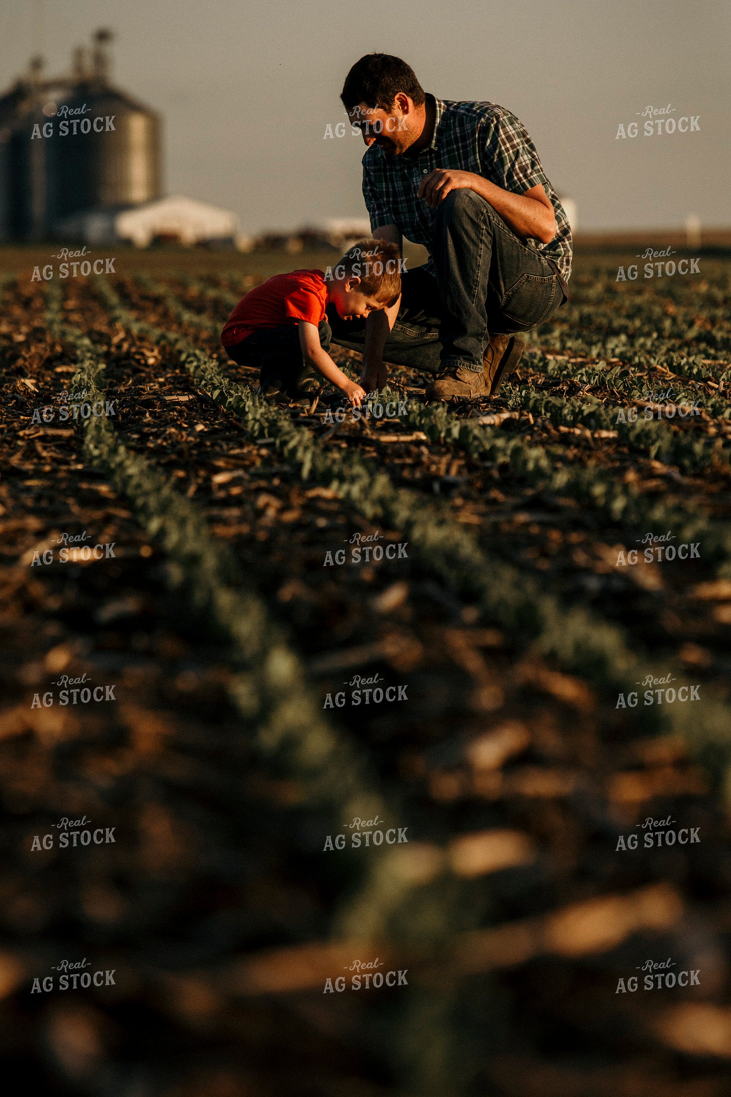 Farmer 2925