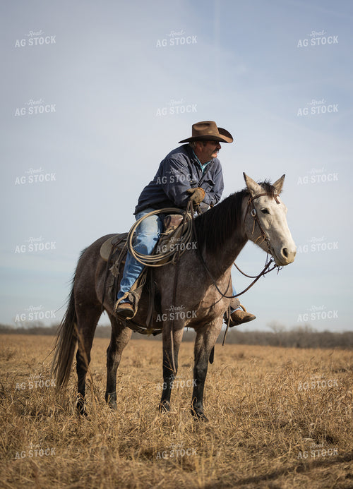 Rancher on Horseback 219097