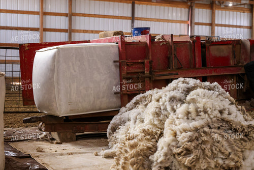 Processing Wool 261139