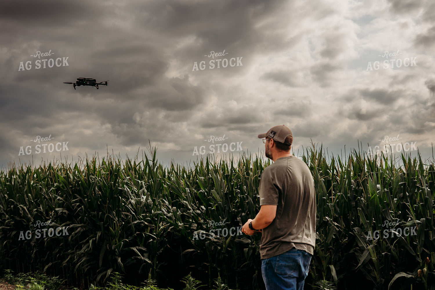 Scouting Fields With Drone 196346