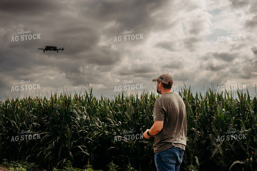 Scouting Fields With Drone 196346