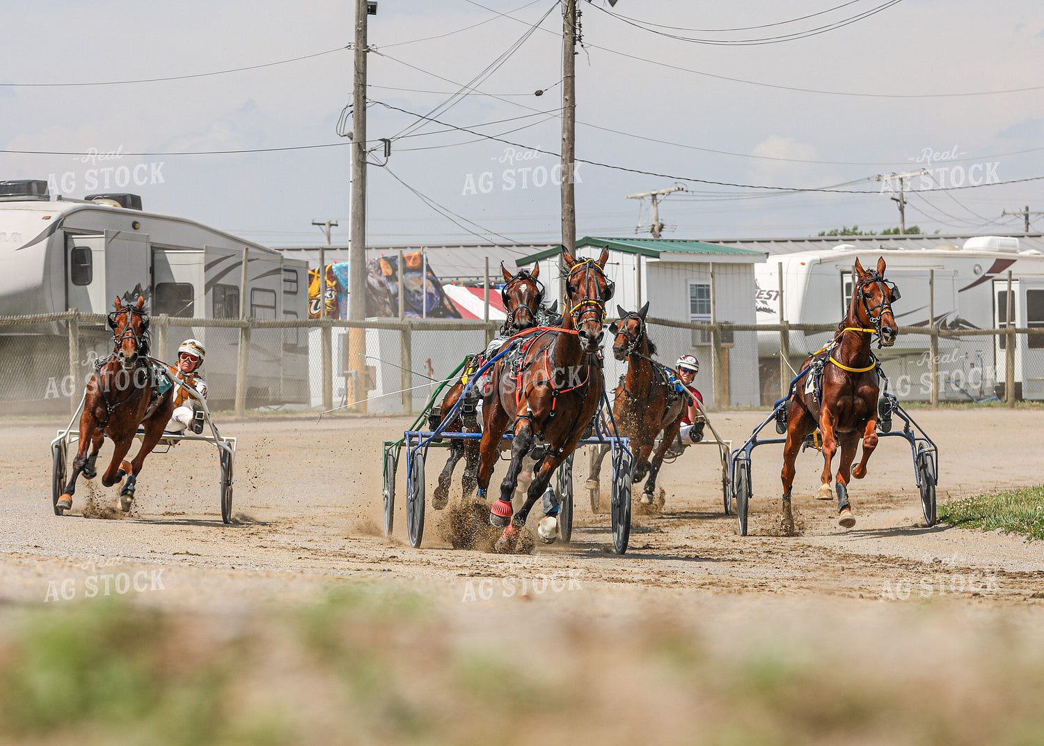 Horse Racing 160062