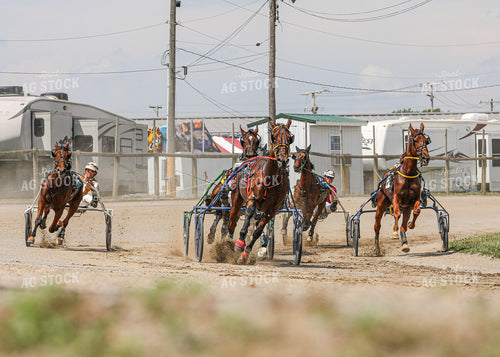 Horse Racing 160062