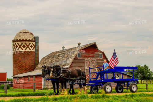 Draft Horses Pulling Wagon 299162