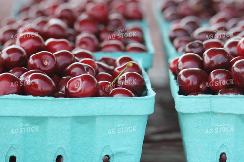 Cherries in Punnet 73011