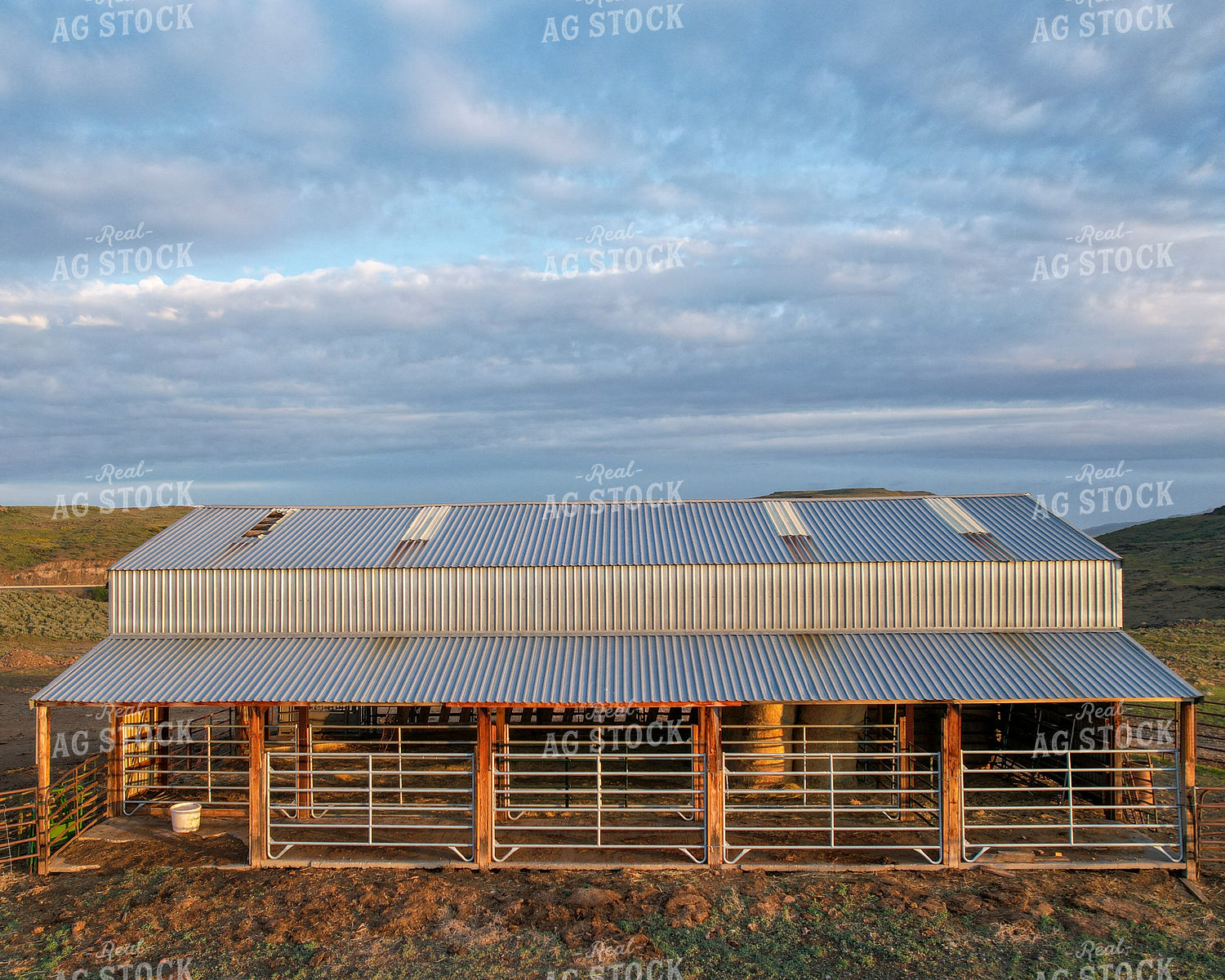 Cattle Barn 65441