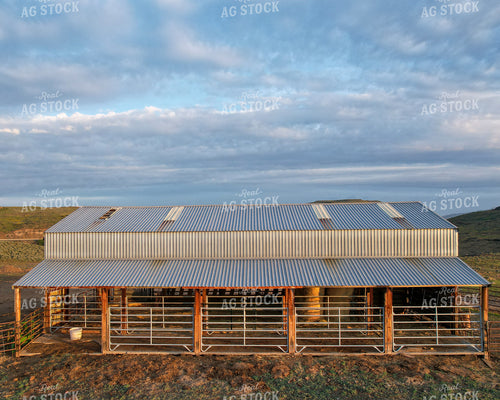 Cattle Barn 65441