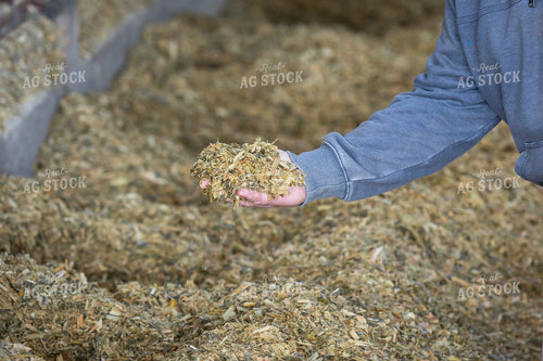 Farmer Holding TMR 270066