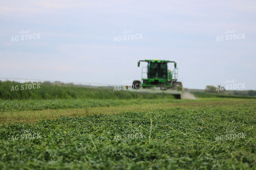 Cut Alfalfa Hay 82290