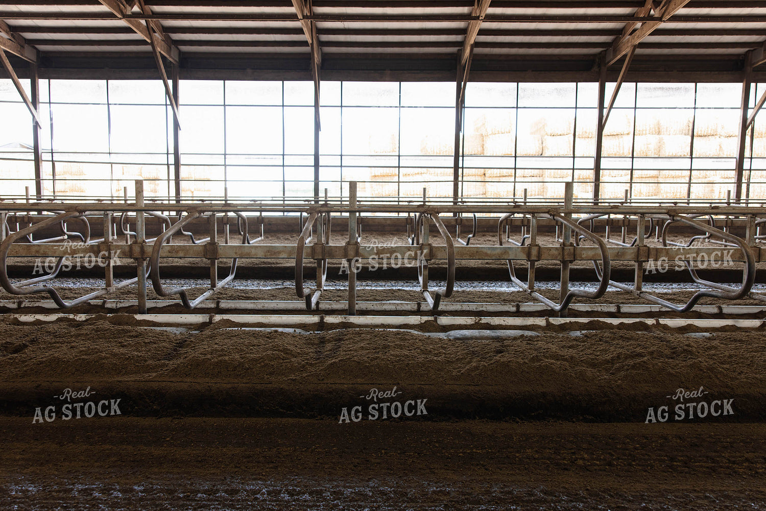 Empty Cattle Barn Stalls 152759