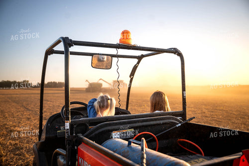 Farm Family at Soybean Harvest 115879