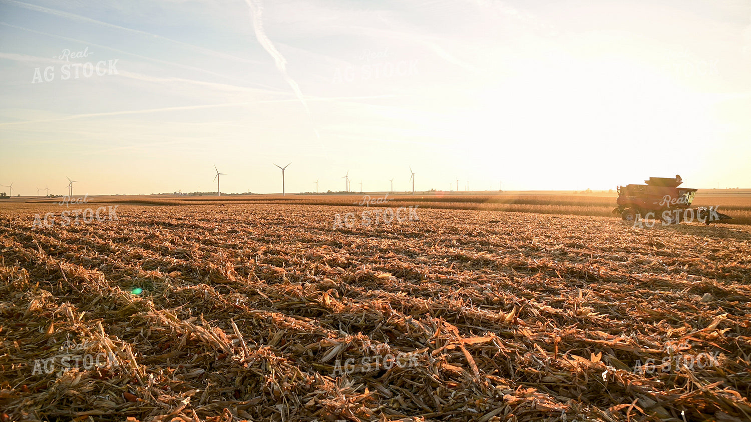 Combine Driving through Field at Sunset 25780