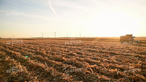 Combine Driving through Field at Sunset 25780