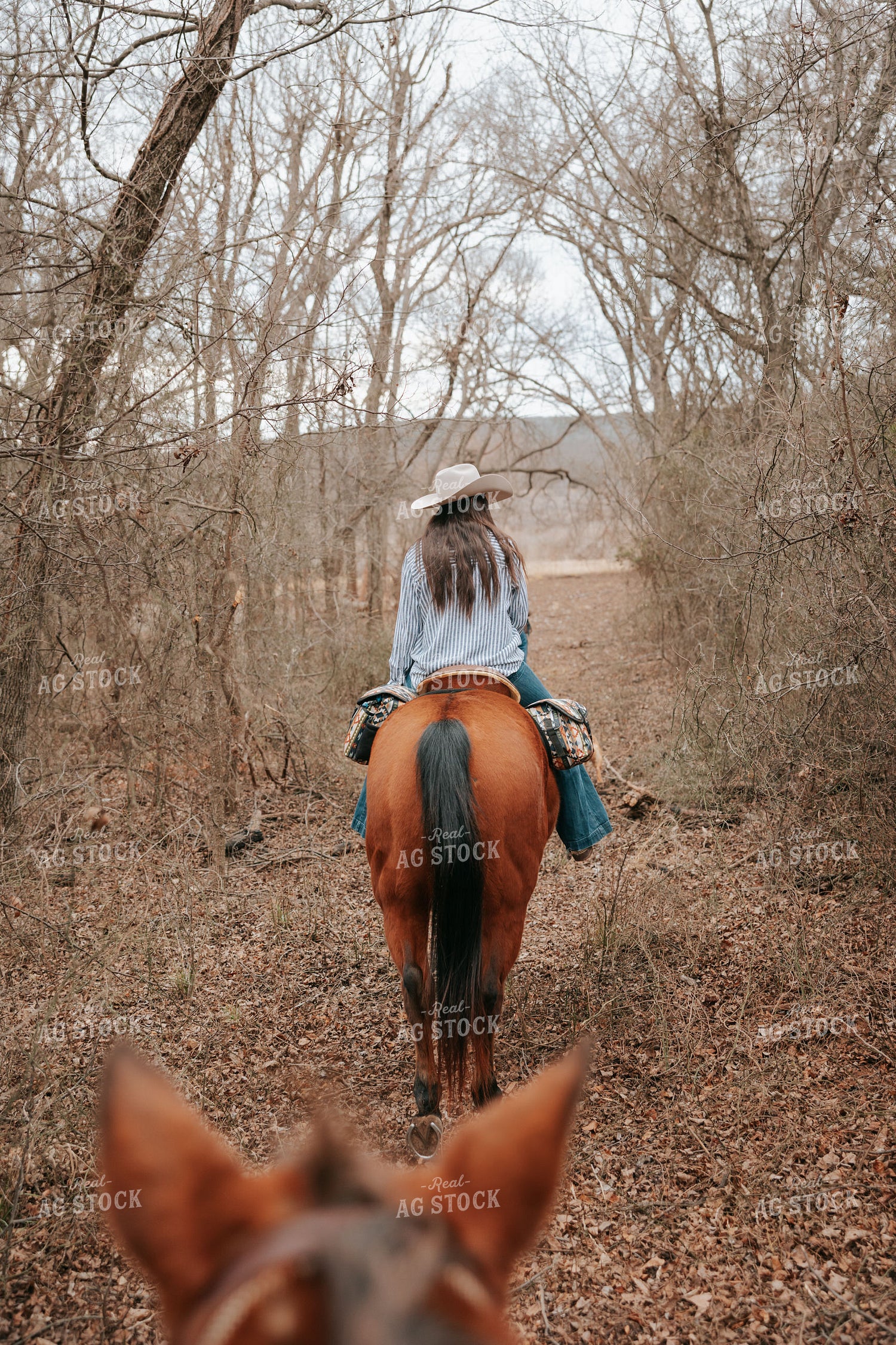 Trail Ride 205139