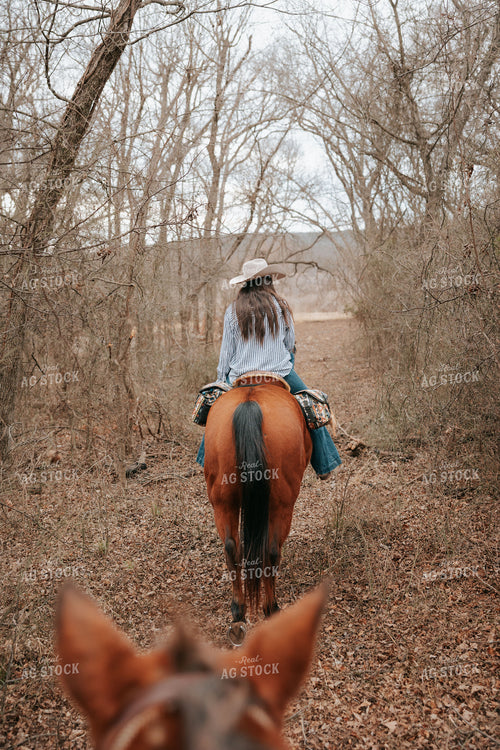 Trail Ride 205139