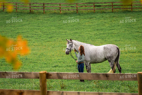 Female Equestrian with Horses 270398