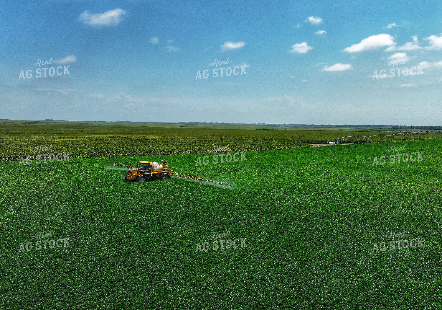 Spraying Corn 141377