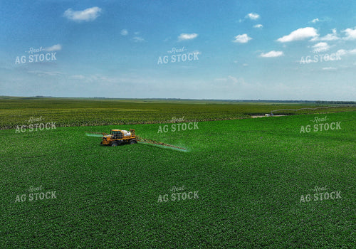 Spraying Corn 141377