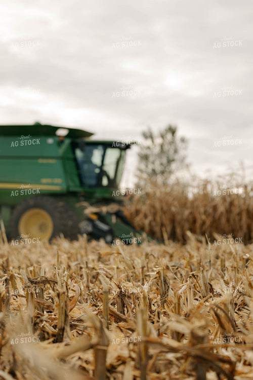 Corn Harvest 152900