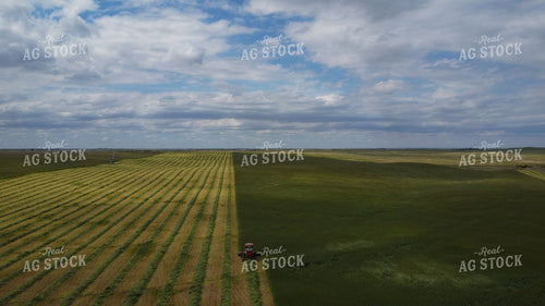 Cutting Rye 223015