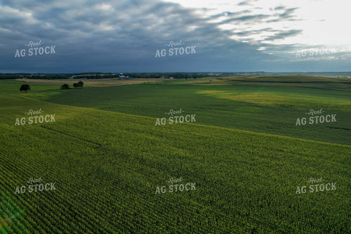 Aerial of Farmland in Summer 261077