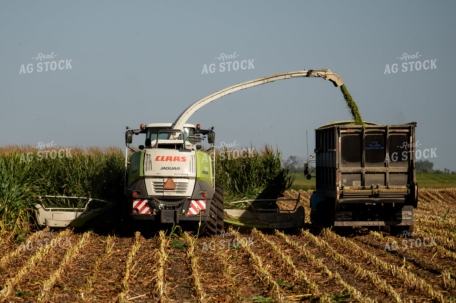Silage Harvest 185183