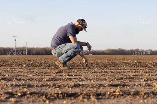 Scouting Emergence 79619
