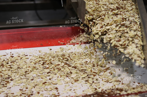 Almond Processing 102119