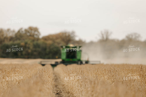 Harvesting Soybeans 152885