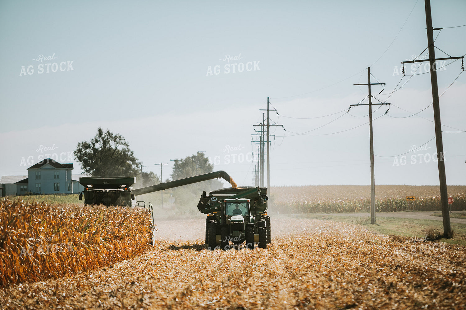 Combine Unloading Corn into Grain Cart 4682
