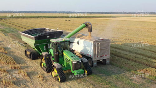 Rice Harvest 79461